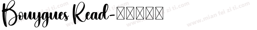 Bouygues Read字体转换